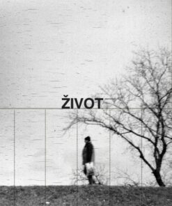 Život umjetnosti br. 89