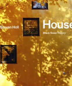 House: Black Swan Theory