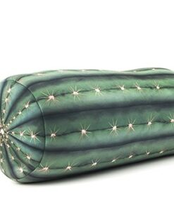 Cactus Pilow