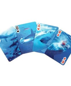 Playing Cards Shark