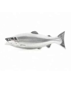 Magic Soap Fish
