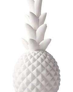 Pineapple LED Light