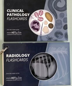 Complete Flashcards Set (MiniVET Guide)