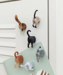 Cat Butt Magnets Set of 6