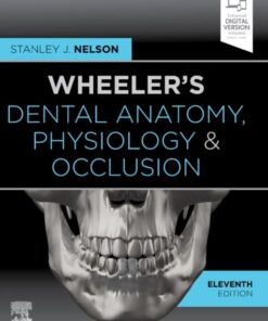 Wheeler'S Dental Anatomy, Physiology And Occlusion
