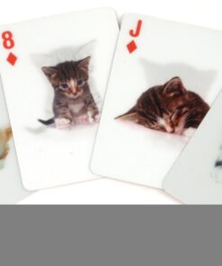 Playing Cards Cats 3D