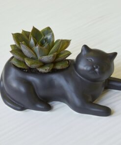Cosmo the Black Cat Planter