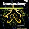 neuro6