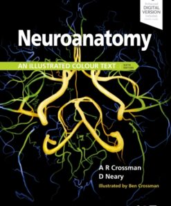 neuro6