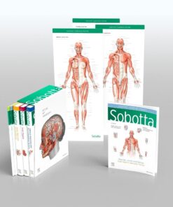 Sobotta Atlas of Anatomy, Package, 17th ed., English/Latin